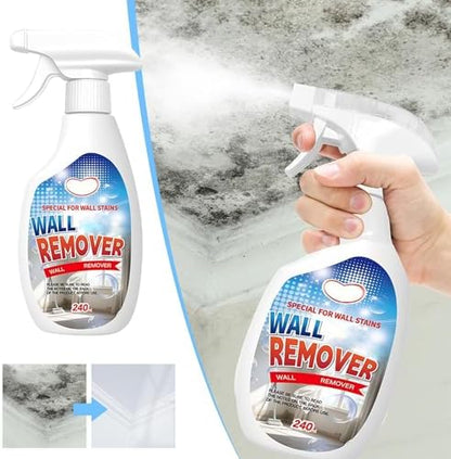 Wall Mold Remover Spray