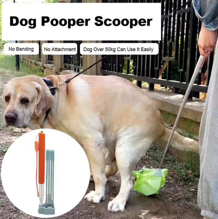 Foldable Pet Toilet