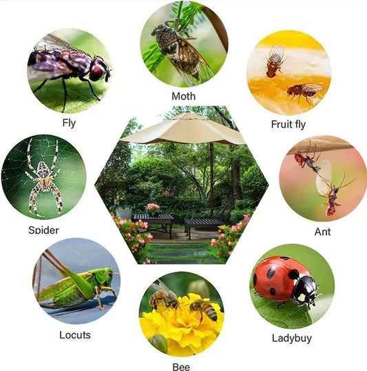 Eco-Friendly Fly & Mosquito Trap