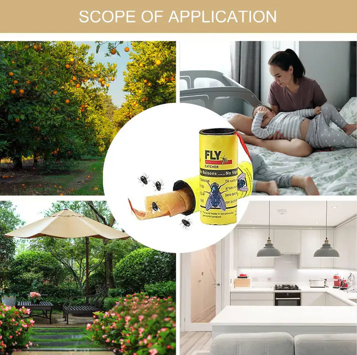 Eco-Friendly Fly & Mosquito Trap