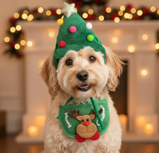 Christmas Cute Hat and Towel For Pets